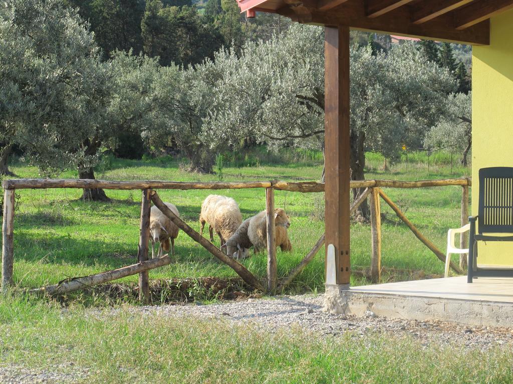 Holiday Home Stella Di Sicilia Акведольчи Экстерьер фото